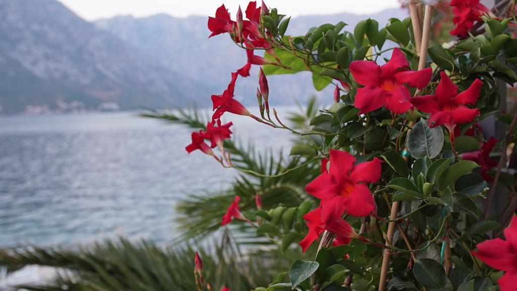 Penthouse Stoliv New Spa-Pool Villa Is Located 5M From The Sea, Exclusive Terrace,Private Jetty Wih Sunbeds, Pebble Beach, Secluded Location Total Area 375M2 At Your Disposal Kotor Eksteriør bilde